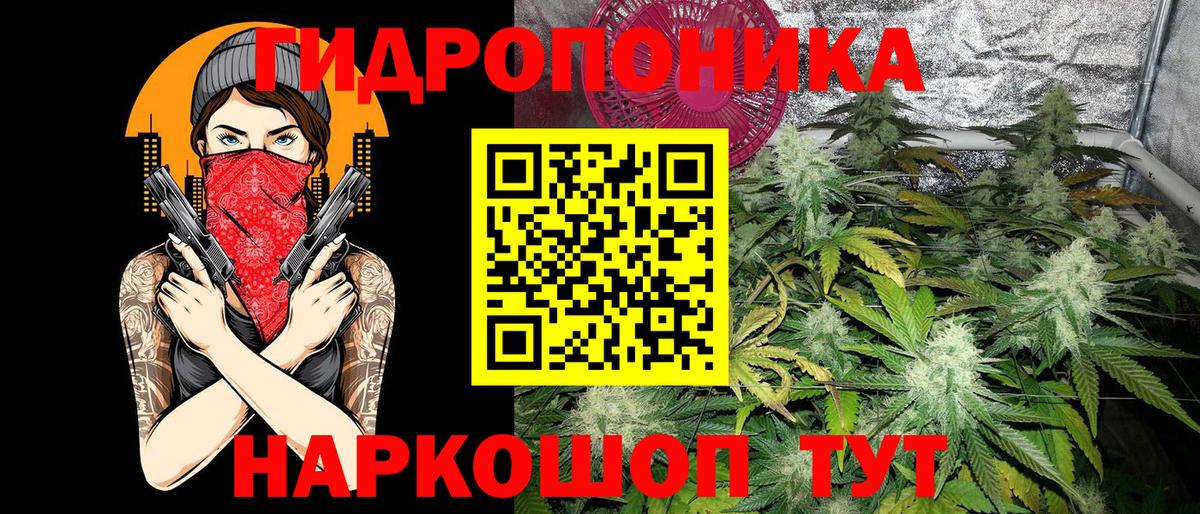 Шишки марихуана THC 21%  Бошки марихуана планчик  Вход с VPN  Бошки марихуана Ganja  Алексин 